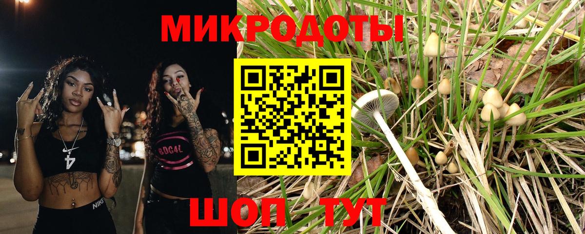 Псилоцибиновые грибы MAGIC MUSHROOMS  Псилоцибиновые грибы ЛСД  Аксай  Вход с VPN 